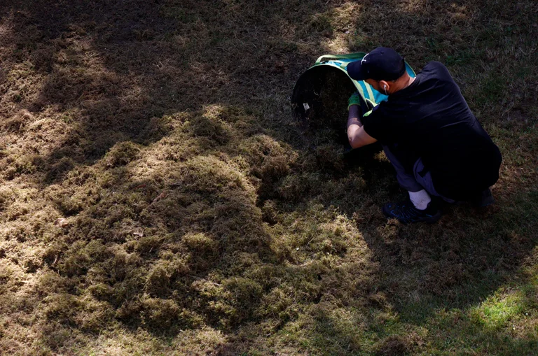 Vorschaubild: Brisante Zahlen aus Hamburg: 2025 leistete nur ein Asylbewerber gemeinnützige Arbeit