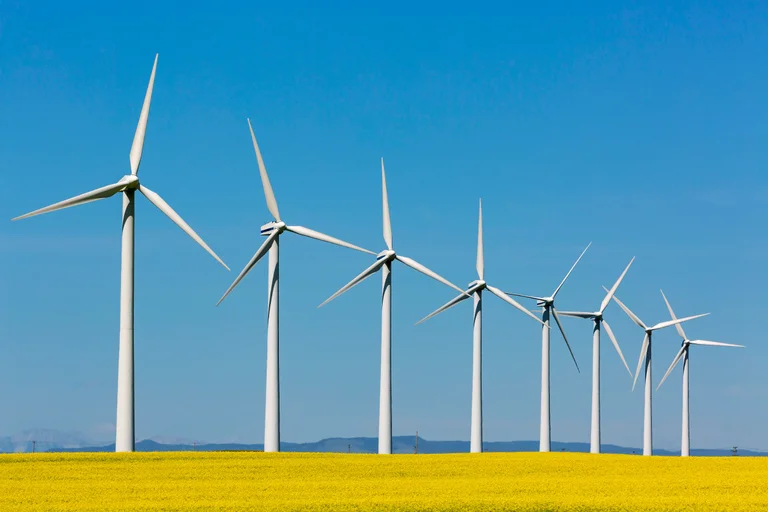 Vorschaubild: Windräder im Waldviertel: Widerstand gegen neue Projekte wächst