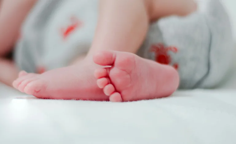 Vorschaubild: Daten zeigen: AfD-Wähler haben mehr Kinder – deutliche Unterschiede zu Grünen und Linken
