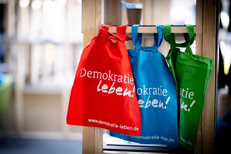 Vorschaubild: Wer bezahlt Deutschlands NGOs? AfD startet neues Rechercheportal