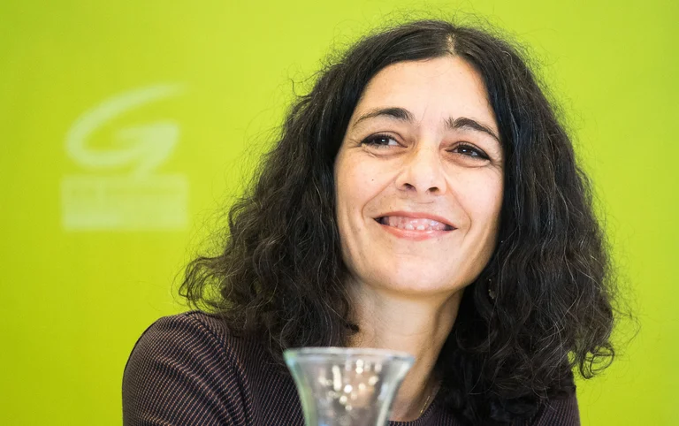 Vorschaubild: Steiermark: Linke ziehen gegen Sozialreform vor Verfassungsgerichtshof