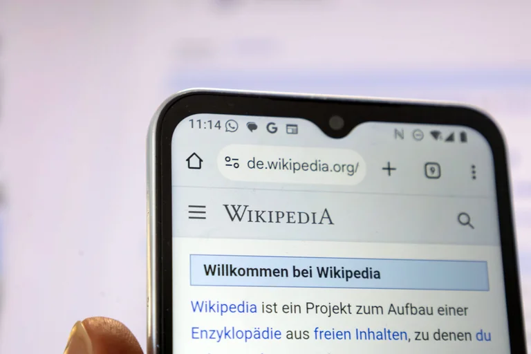 Vorschaubild: Wikipedia-Mitgründer Sanger: Linke haben die Enzyklopädie kulturell übernommen