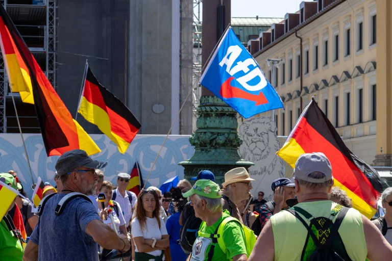 Vorschaubild: AfD-Unterstützung: Zuwanderungssorge wiegt schwerer als soziale Lage