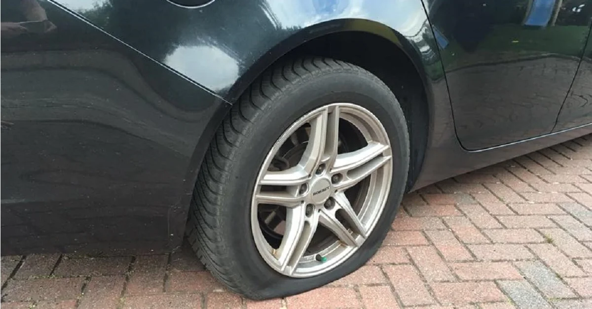 Bild: Facebook / AfD Niedersachsen (Bild zugeschnitten)