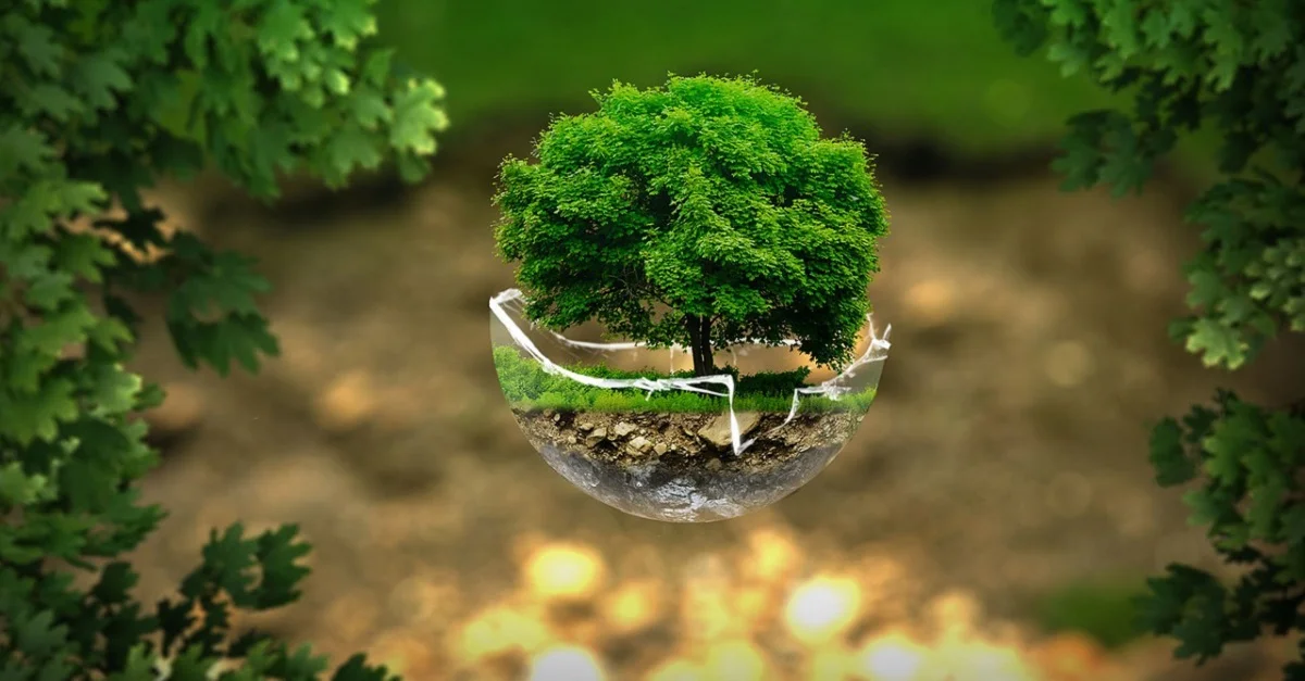 Symbolbild / Pixabay (CC0)