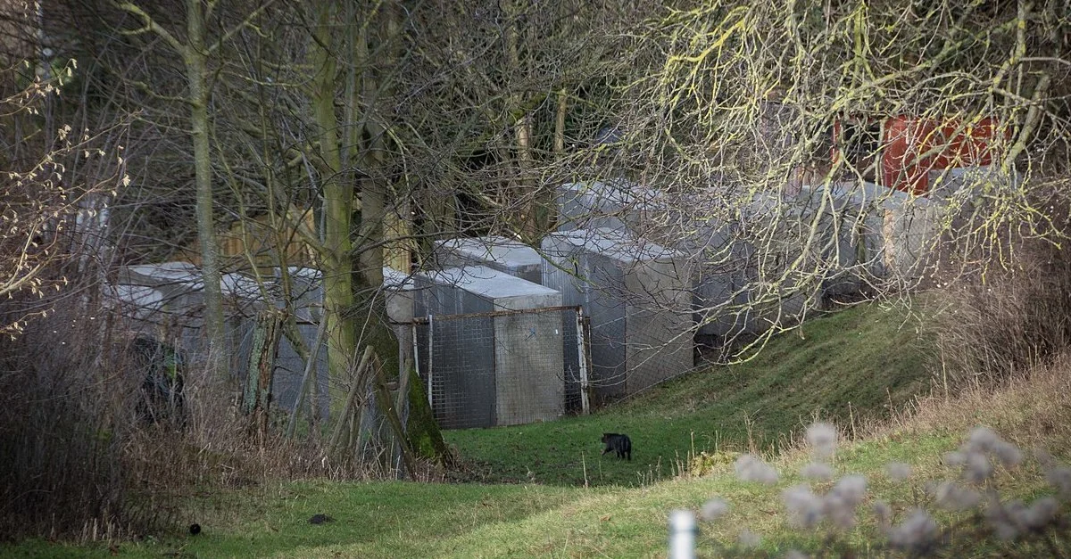 Bild (Aktion &#8222;Holocaust-Mahnmal&#8220;): Thilo Parg [CC BY-SA 4.0], via Wikimedia Commons (Bild zugeschnitten)
