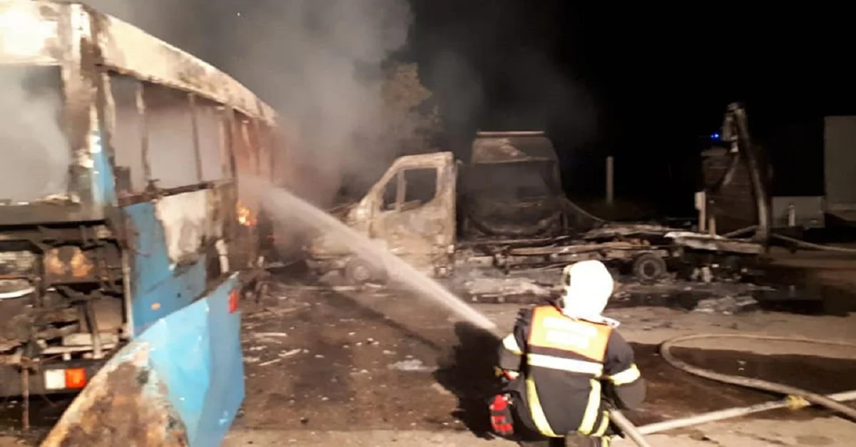 Bild: Facebook-Seite „AfD Sachsen“.