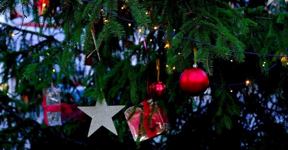 Symbolbild: Pixabay [CC0]
