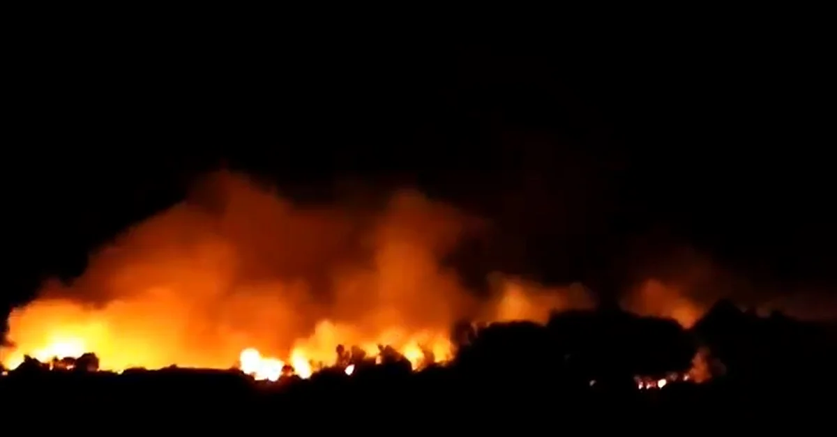 Screenshot (Video Fareid Atta): Twitter