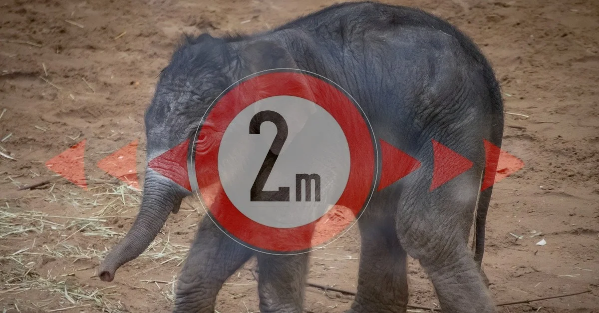 Symbolbilder (2): Pixabay, Komposition: Tagesstimme