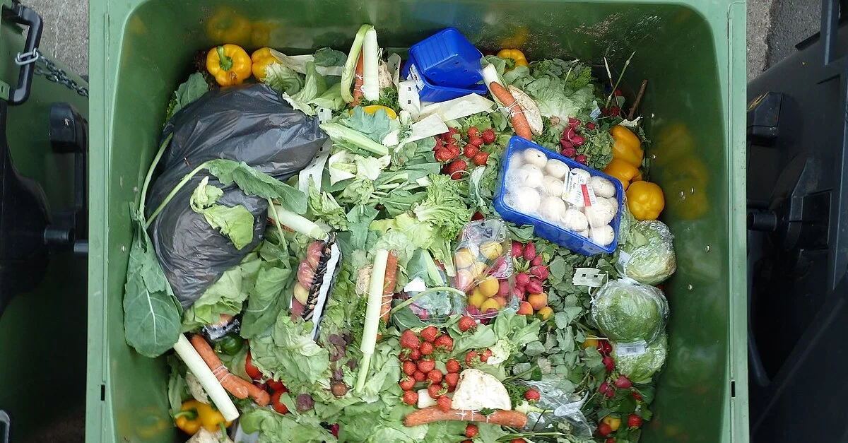 Symbolbild: Lebensmittelverschwendung / Bild: Foerster, CC0, via Wikimedia Commons (Bild zugeschnitten)
