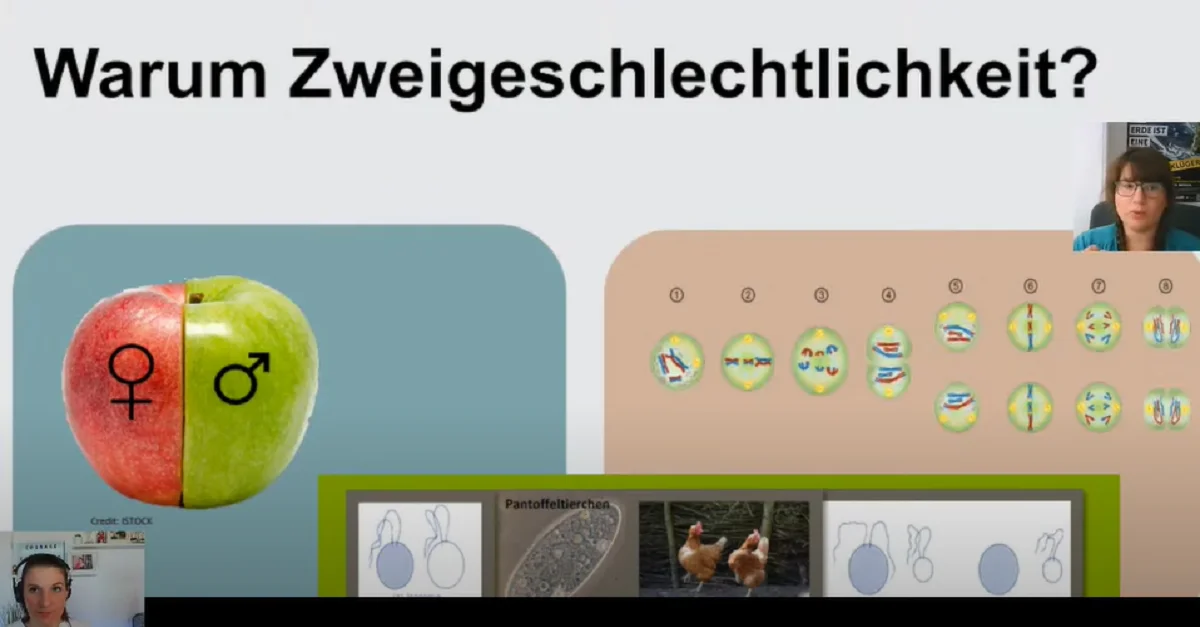 Bild: Screenshot YouTube/donnasdottir:  &#8222;[LIVE] Uni cancelled Evolutionsvortrag von Biologin&#8220; von Marie Vollbrecht.
