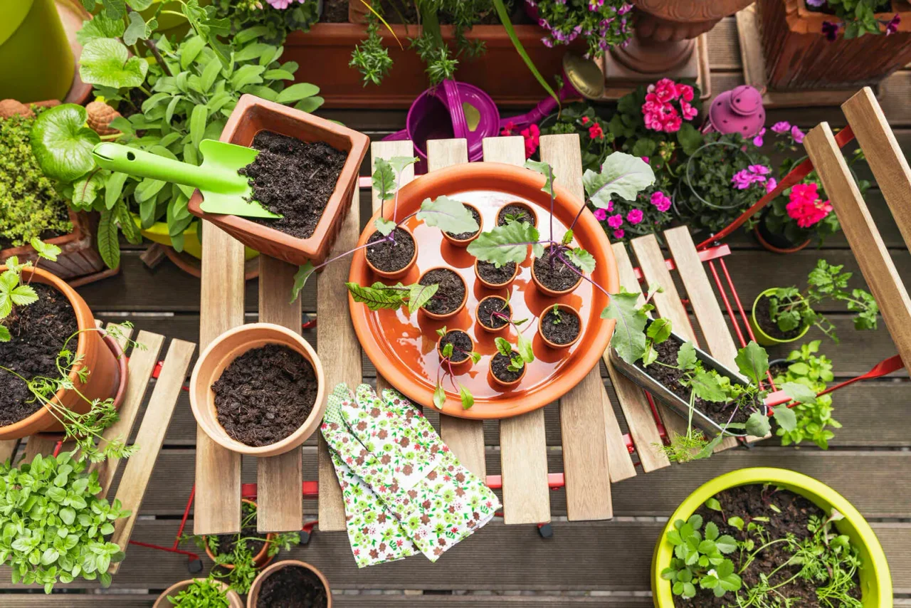 Auch auf kleinen Balkonen kann viel wachsen