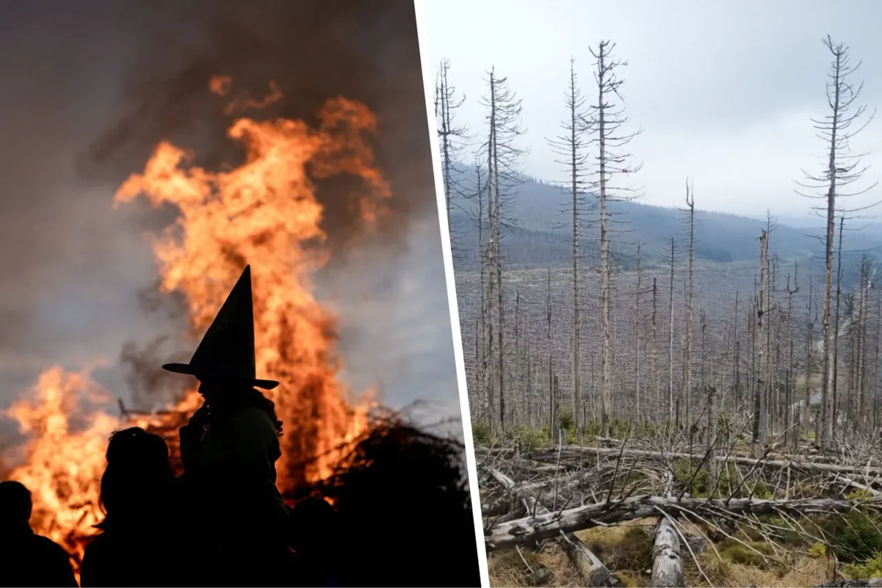 Walpurgisnacht (Symbolbild) / Borkenkäferplage im Harz