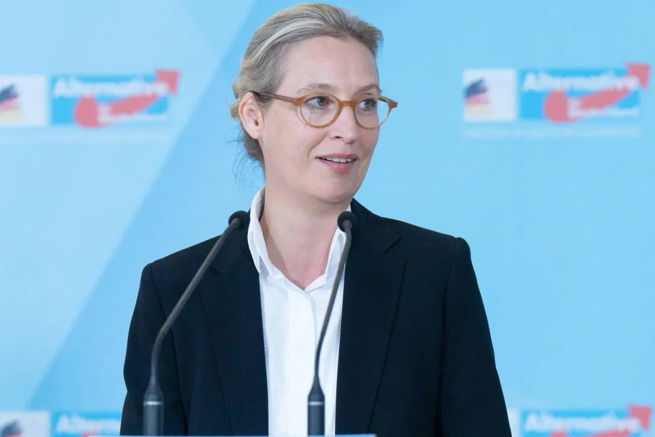 Die AfD darf sich weiter über Zugewinne in Umfragen freuen