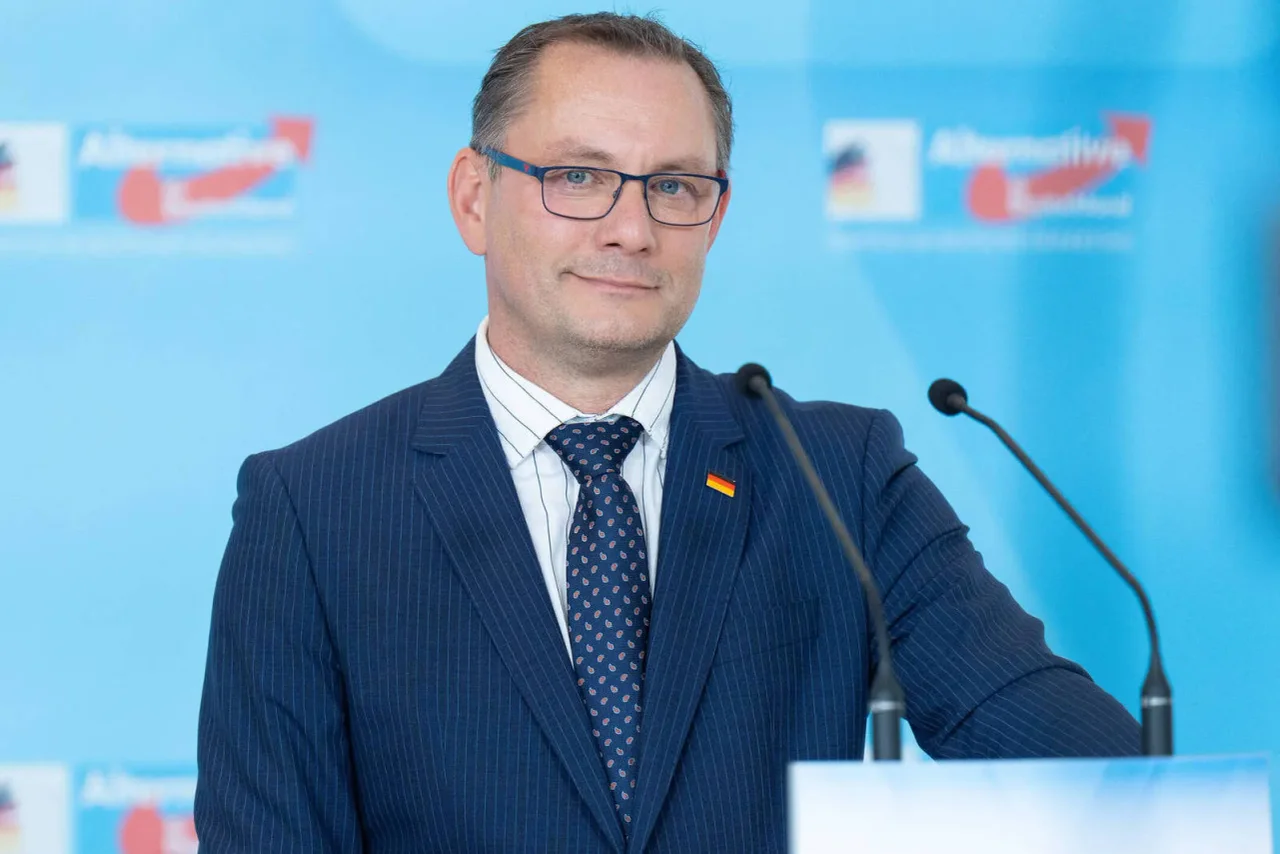 Die AfD befindet sich aktuell im Höhenflug