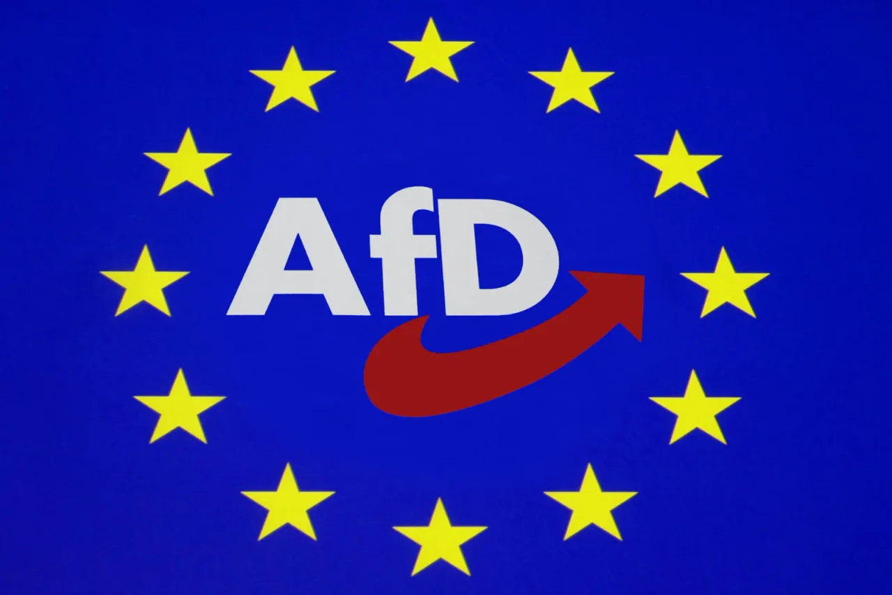 An den kommenden zwei Wochenenden wird die AfD ihre EU-Kandidaten nominieren