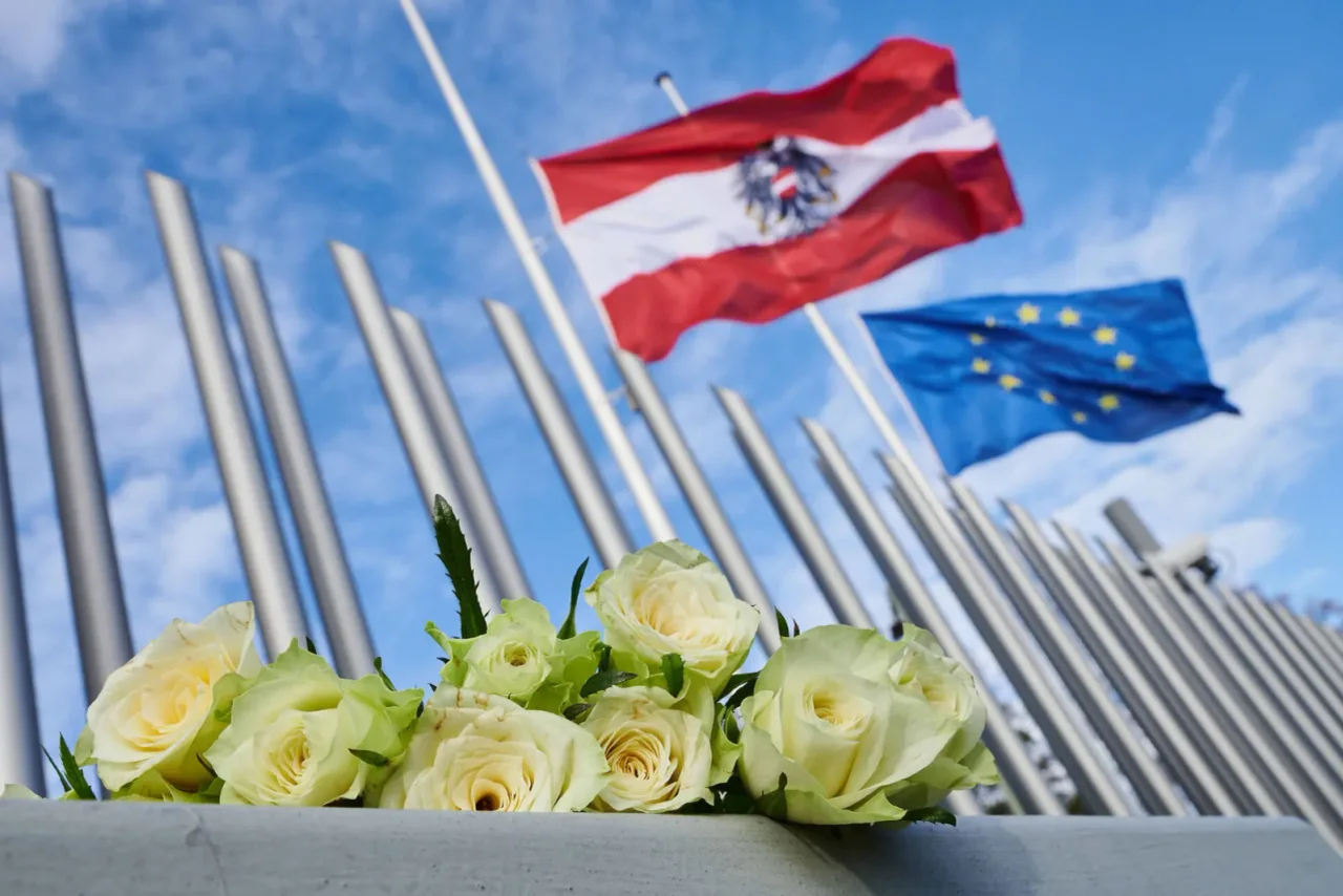 Damit hat Österreich zu kämpfen: Sinkende Lesekompetenz, steigende Kriminalität, schlechtere Wettbewerbsfähigkeit