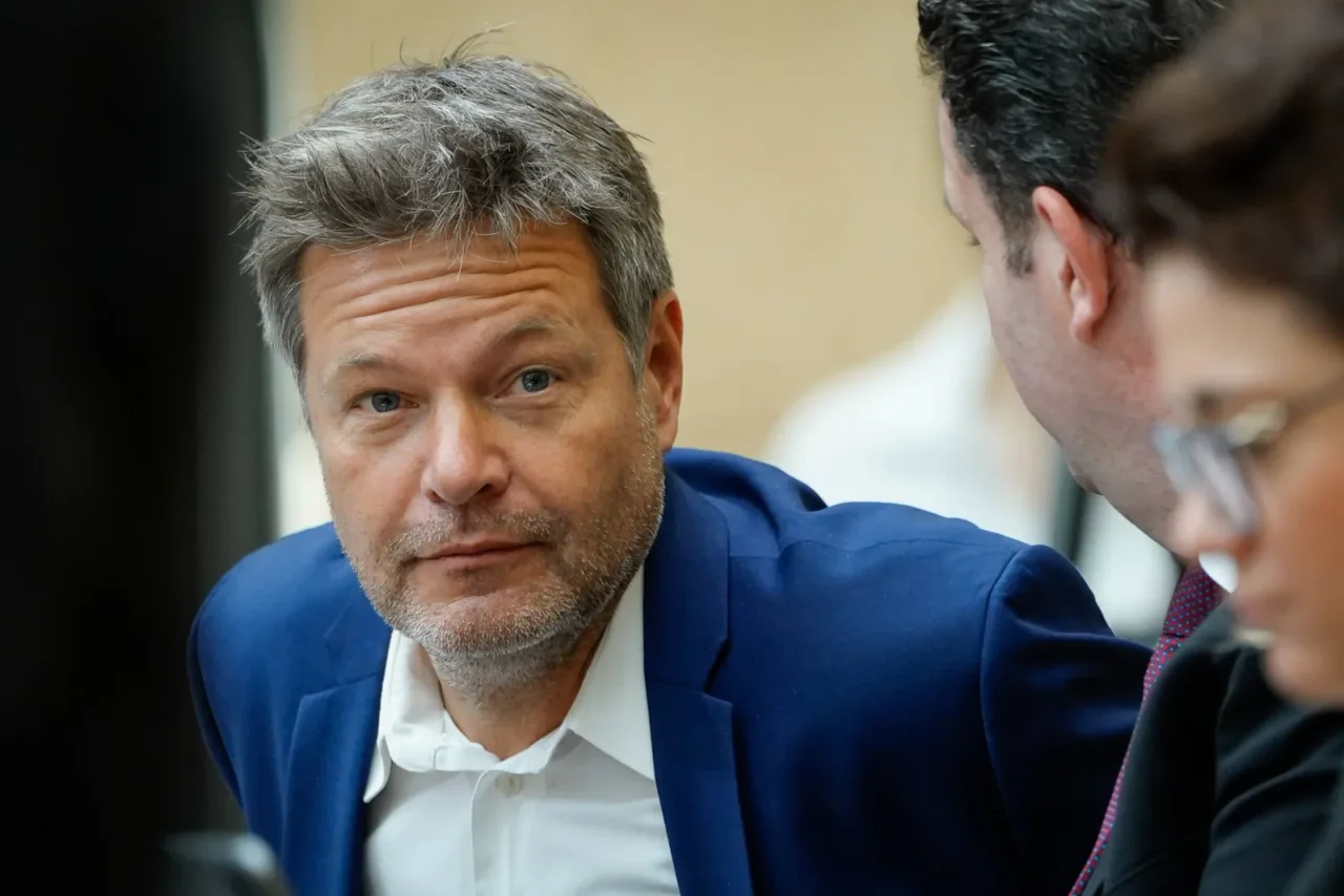 Bundeswirtschaftsminister Robert Habeck gilt als Antreiber der Klimaschutzpolitik