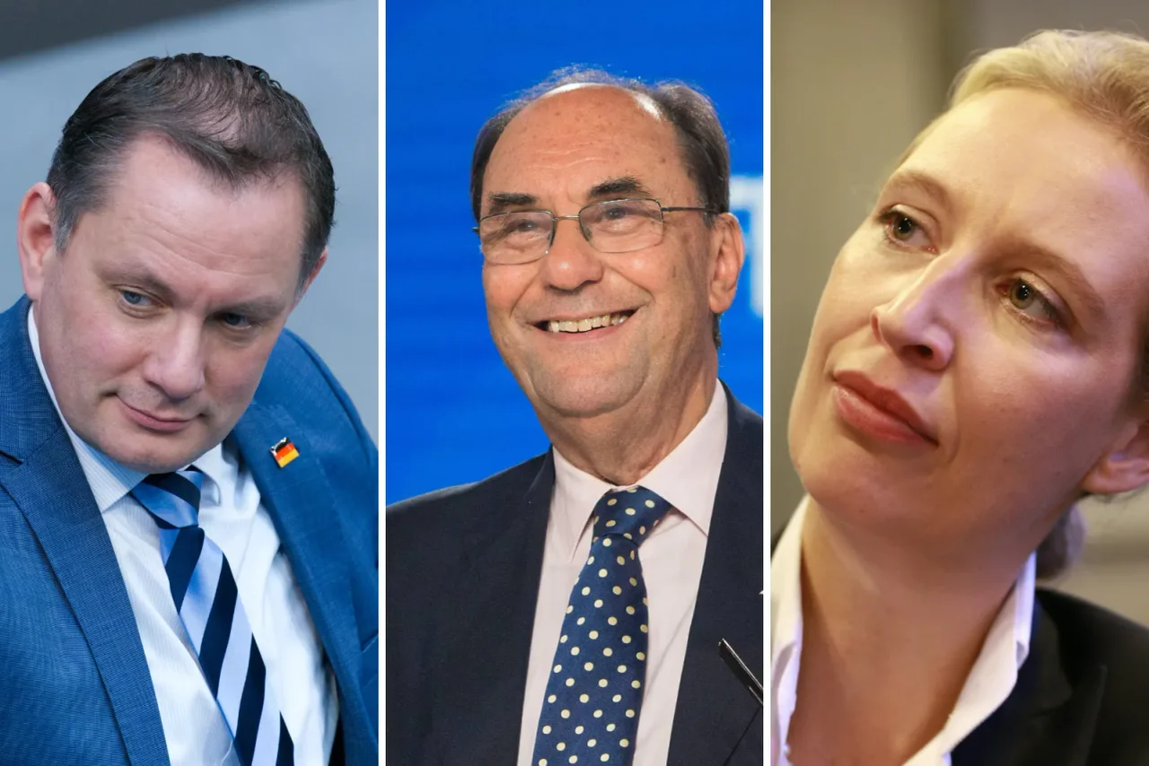 Tino Chrupalla, Alejo Vidal-Quadras und Alice Weidel