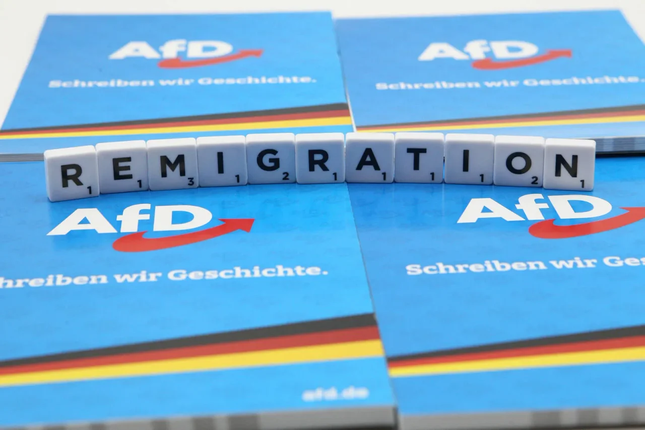 Die AfD fordert bereits seit Jahren eine konsequente Asylpolitik und Remigration.