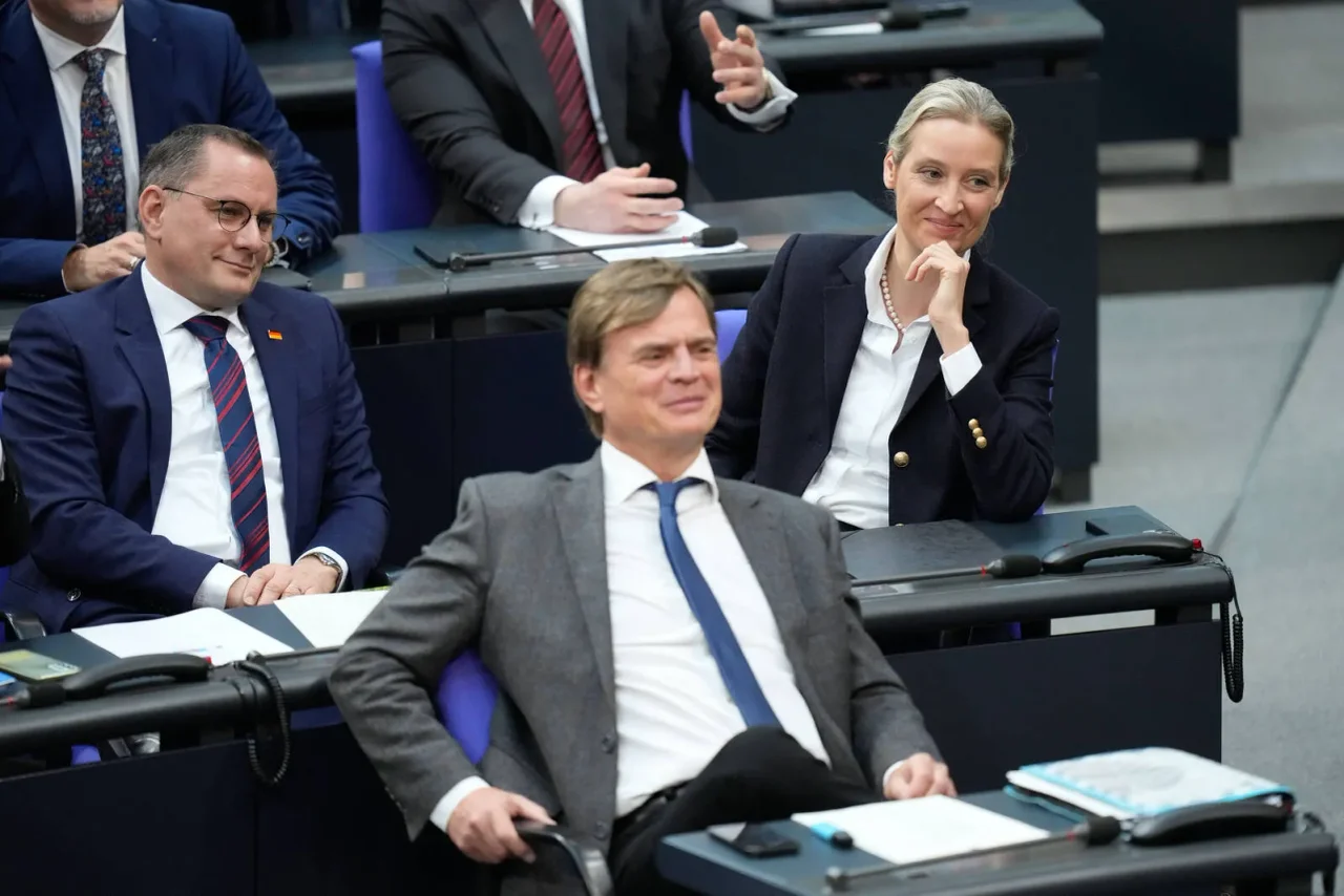 Die AfD konnte sich in den vergangenen Wochen über einen regen Mitgliederzulauf freuen.