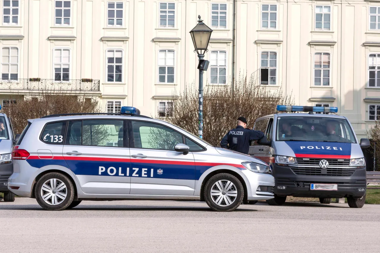 Eine Reihe von zum Teil schweren Gewalttaten hat in den vergangenen Wochen die Stadt Wien erschüttert.
