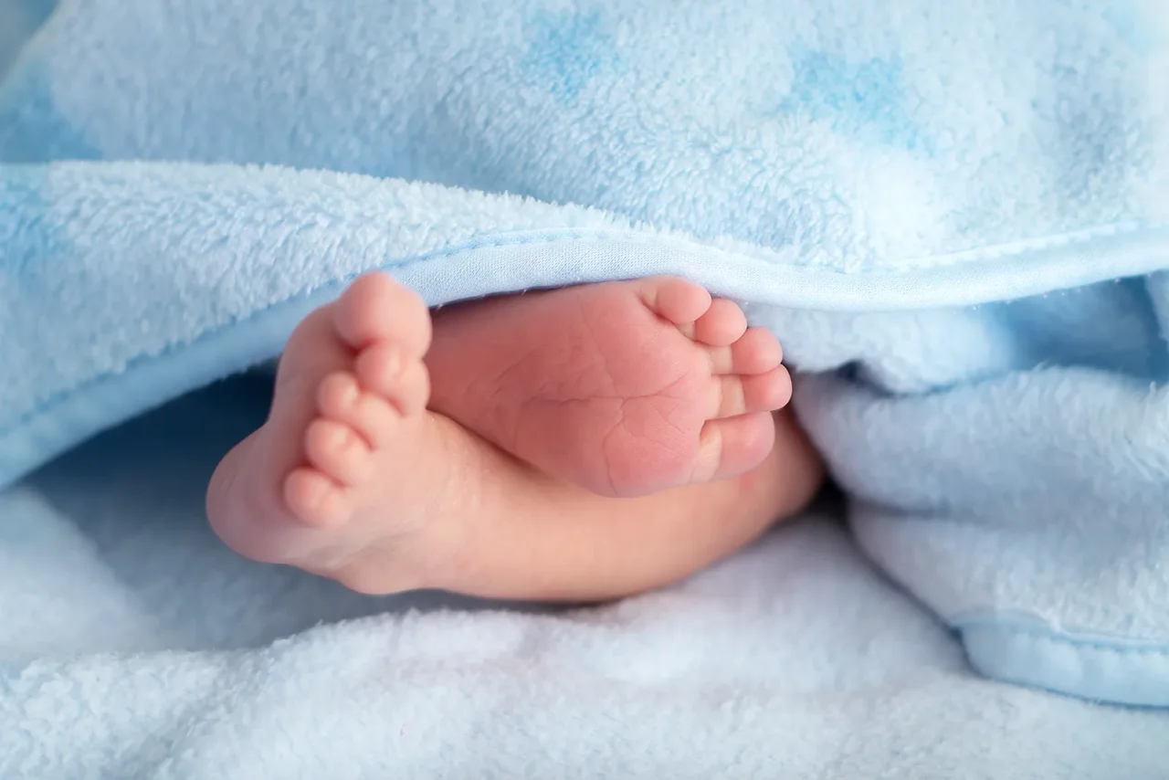 Dieser Trend hält bereits seit mehreren Jahren an.