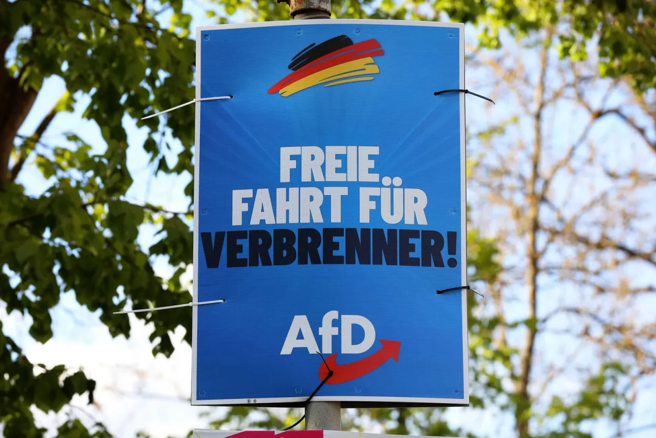 Ein AfD-Wahlplakat zur Landratswahl im Saale-Holzland-Kreis im Mai.