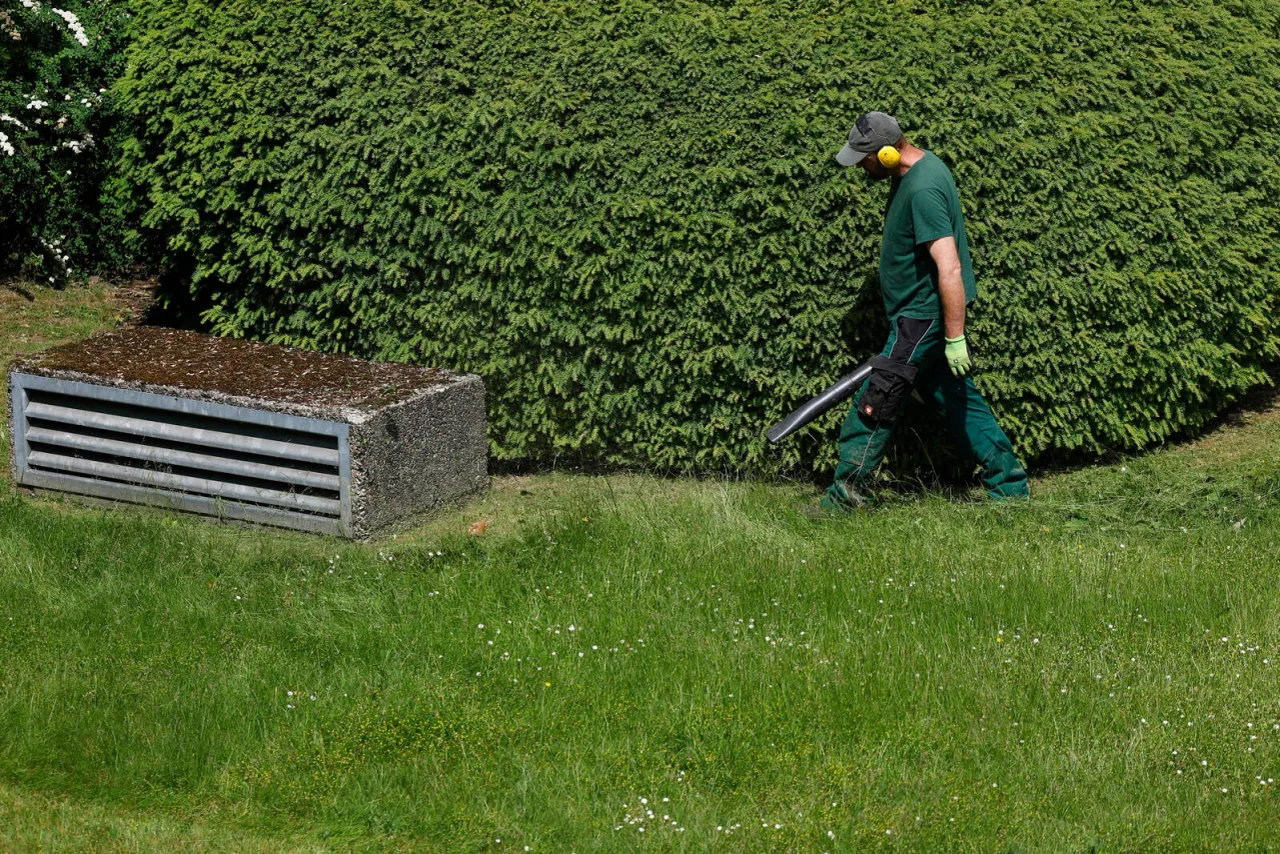 Nach derzeitiger Rechtslage können Asylbewerber zum Beispiel bei der Pflege von Grünanlagen mithelfen.