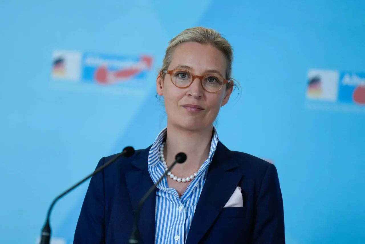 Weidel selbst warf dem Kritiker vor, Fakten böswillig zu verdrehen.