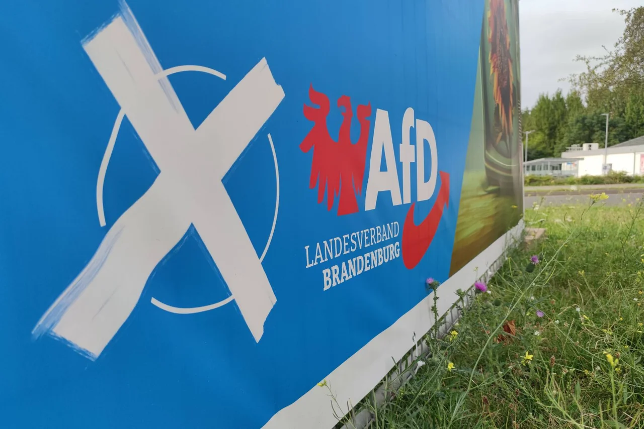 AfD-Wahlplakat in Brandenburg.