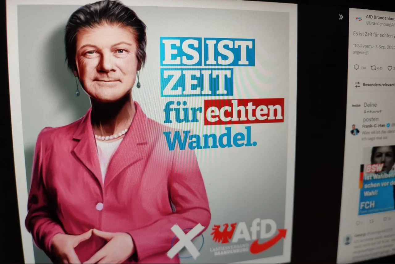 Mit diesem Sujet wirbt die AfD in Brandenburg.