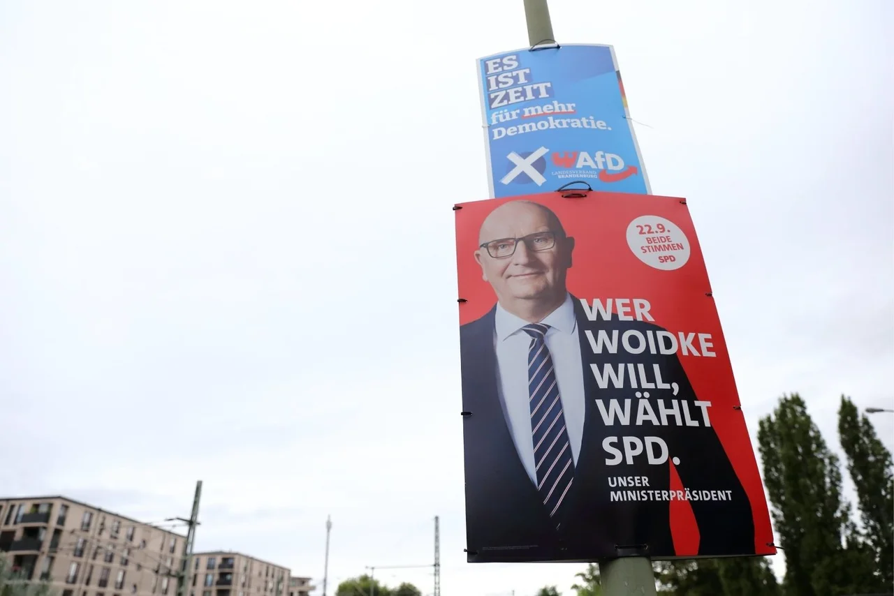 Wahlplakate der AfD und der SPD in Brandenburg.