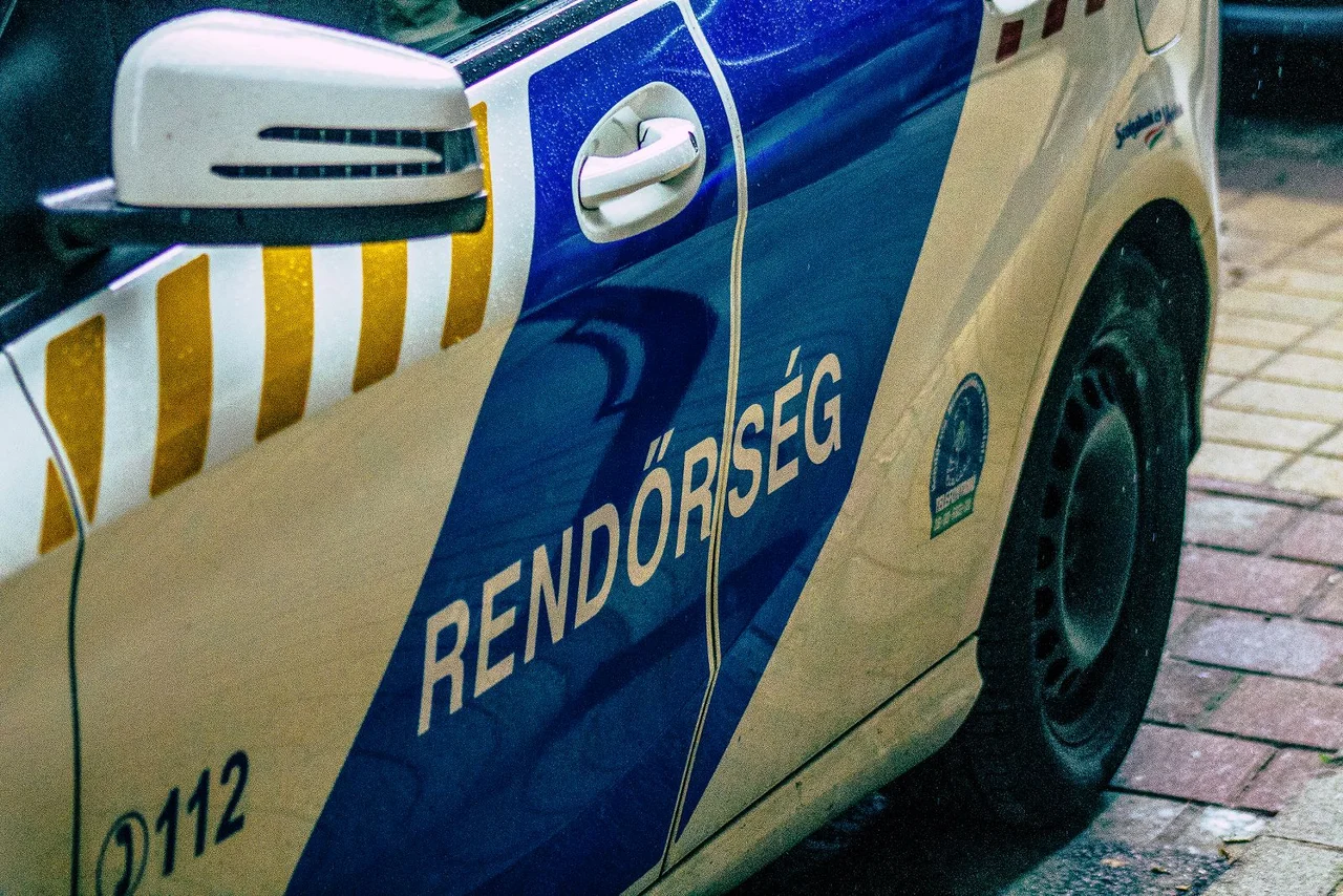 Mehrere Personen sollen einen bewaffneten Anschlag zum Jahrestag der Revolution in Ungarn geplant haben.