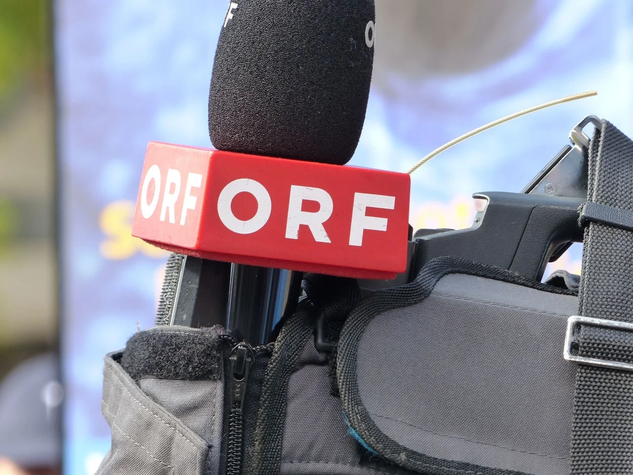 Eine Studie zeigt, dass sich FPÖ-Wähler in der Regel wesentlich breiter informieren.