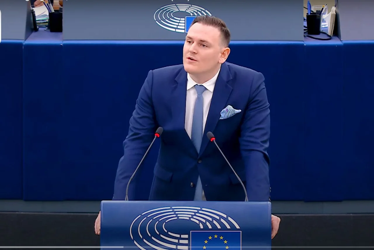 In seiner Rede im EU-Parlament bezeichnete Froelich Remigration als „Gebot der Stunde“.