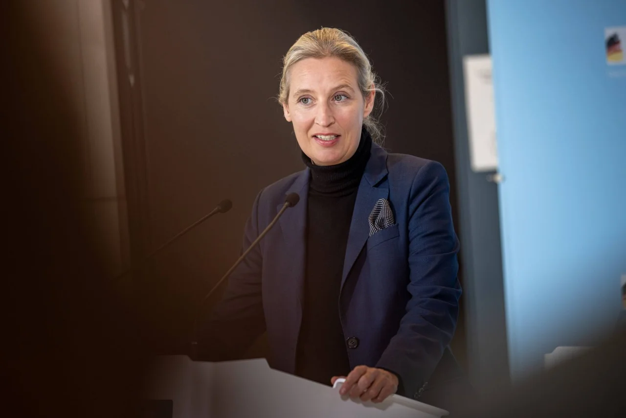 Weidel kann sich aktuell über gute Umfragewerte freuen.