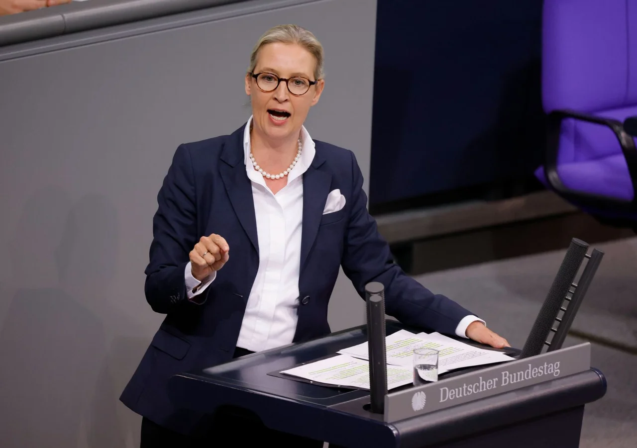 In ihrer Rede sparte Weidel nicht mit Kritik an den Ampelparteien.
