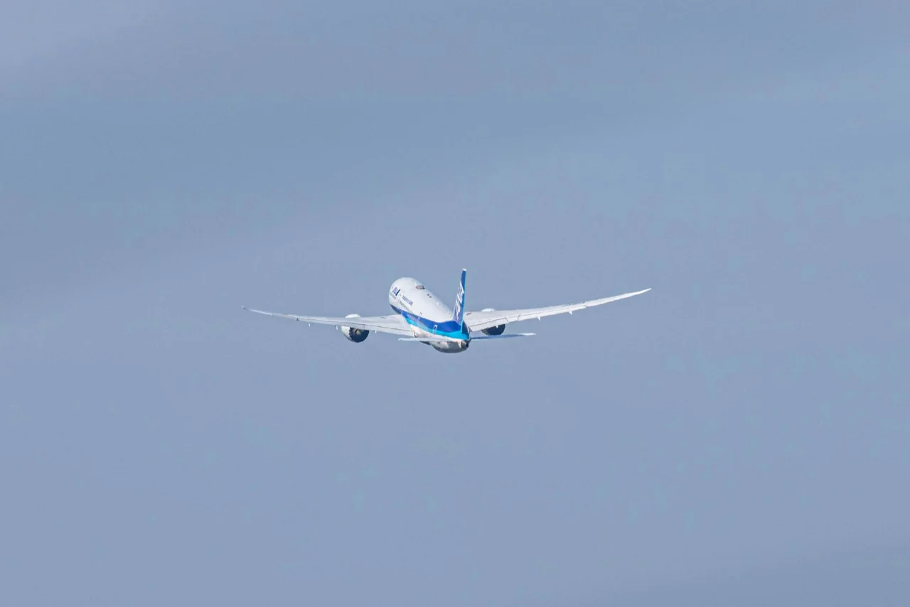 Die AfD Brandenburg forderte kürzlich, Abschiebungen künftig von privaten Unternehmen durchführen zu lassen, um die Zahl der Rückführungen zu erhöhen.