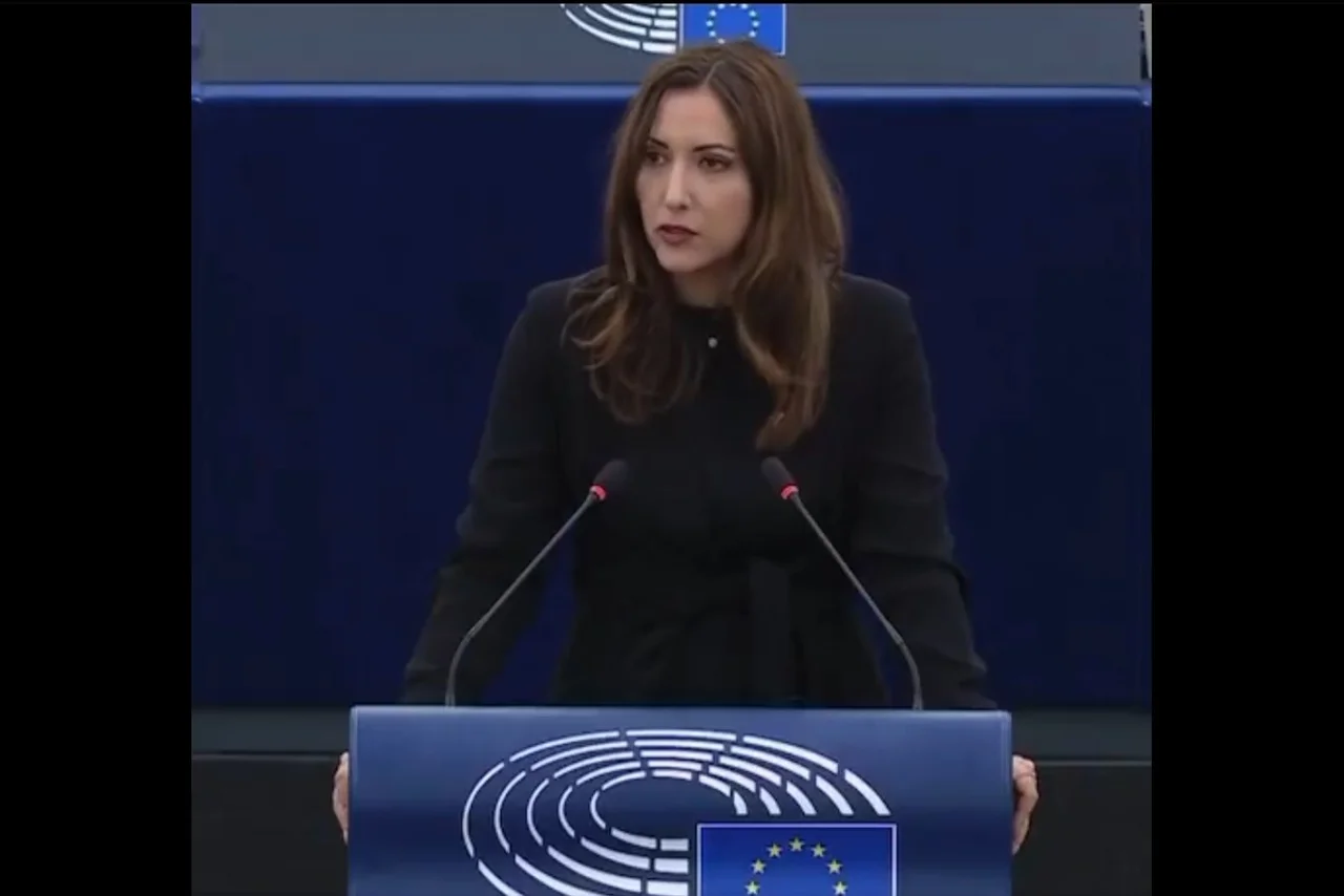 Steger kritisierte die jüngsten Ereignisse in Rumänien und die Repressionen gegen kritische Medien.