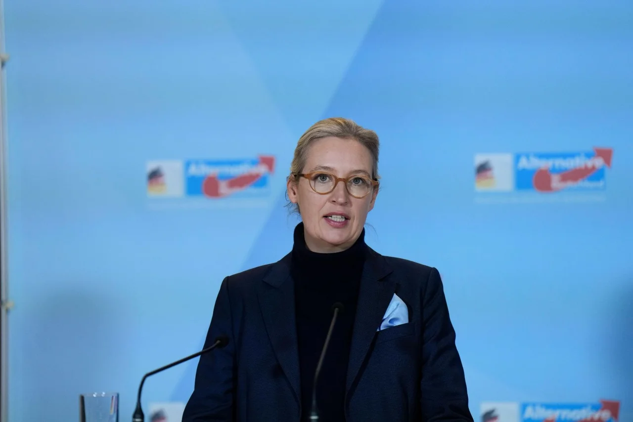 Die AfD kann sich rund einen Monat vor der Wahl über eine einzelne Großspende in Millionenhöhe freuen.