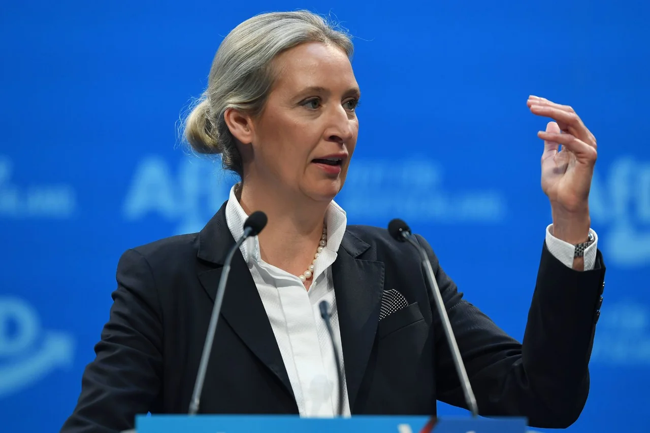 In den einzelnen Ländern wird zu wenig abgeschoben, kritisiert Weidel