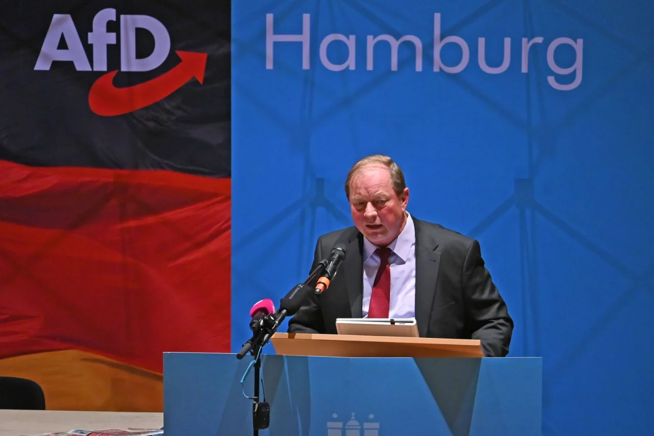 Die AfD in Hamburg kann sich derzeit laut Umfragen über wachsende Zustimmung freuen.