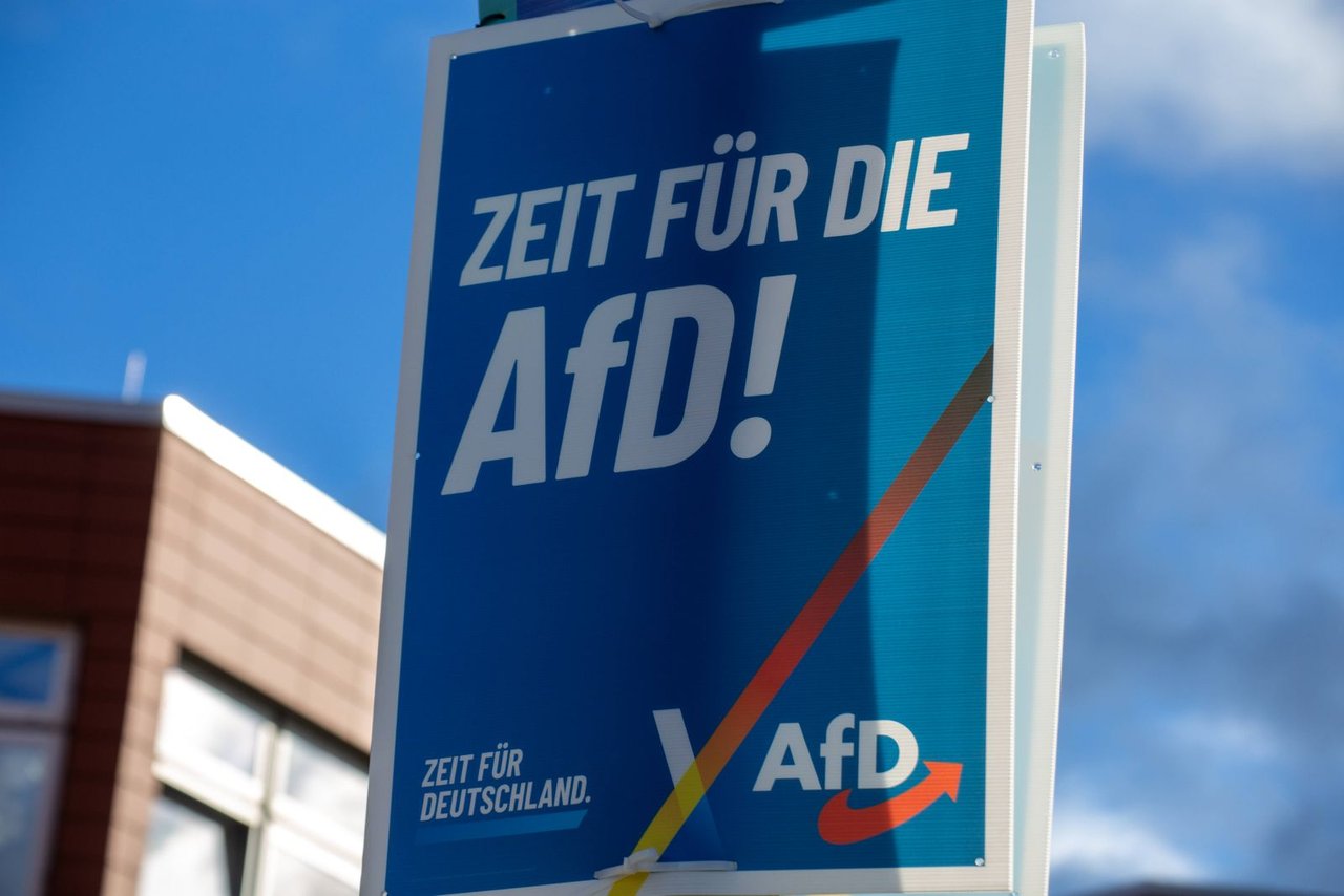 Absurd: Linken-Mitglied sieht Nazi-Code in AfD-Wahlprogramm | FREILICH ...